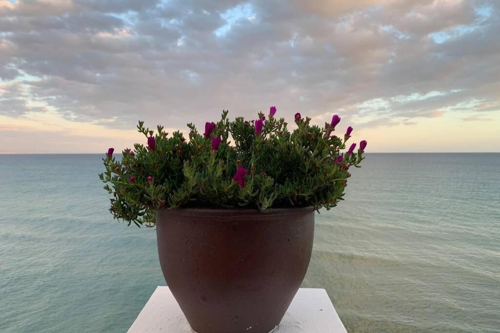 Amazing Frontline Sea Views Studio Apartment Castillo Del Vigia טורמולינוס מראה חיצוני תמונה