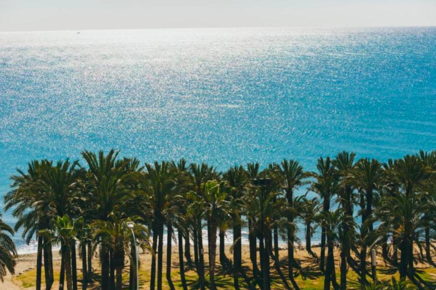 Amazing Frontline Sea Views Studio Apartment Castillo Del Vigia טורמולינוס מראה חיצוני תמונה